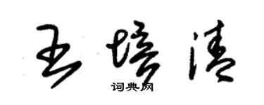 朱锡荣王培清草书个性签名怎么写