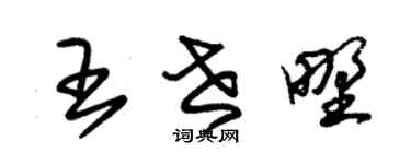 朱锡荣王世野草书个性签名怎么写