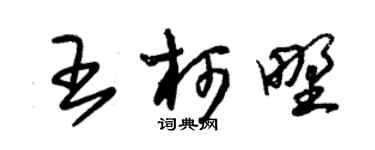朱锡荣王柯野草书个性签名怎么写