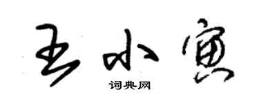朱锡荣王小寅草书个性签名怎么写