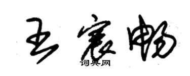 朱锡荣王宸畅草书个性签名怎么写