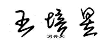 朱锡荣王培昱草书个性签名怎么写