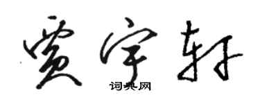 骆恒光贾宇轩草书个性签名怎么写