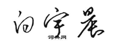 骆恒光白宇晨草书个性签名怎么写