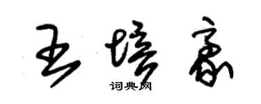 朱锡荣王培豪草书个性签名怎么写