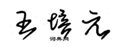 朱锡荣王培元草书个性签名怎么写