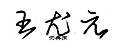 朱锡荣王尤元草书个性签名怎么写