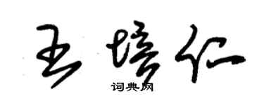 朱锡荣王培仁草书个性签名怎么写