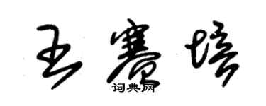 朱锡荣王赛培草书个性签名怎么写