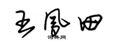 朱锡荣王凤田草书个性签名怎么写