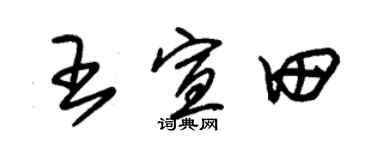 朱锡荣王宣田草书个性签名怎么写