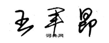 朱锡荣王军昂草书个性签名怎么写