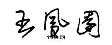 朱锡荣王凤园草书个性签名怎么写