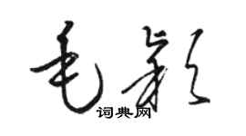 骆恒光毛颖草书个性签名怎么写