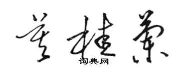 骆恒光莫桂兰草书个性签名怎么写