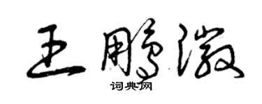 曾庆福王鹏徽草书个性签名怎么写