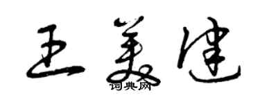 曾庆福王美健草书个性签名怎么写