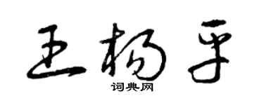 曾庆福王杨平草书个性签名怎么写