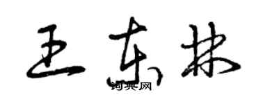曾庆福王东林草书个性签名怎么写