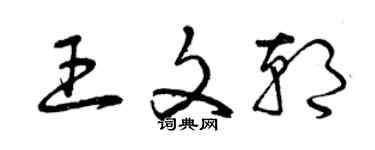 曾庆福王文朝草书个性签名怎么写