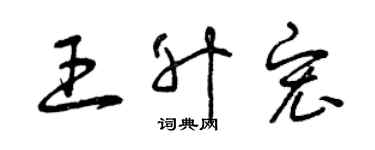 曾庆福王升宏草书个性签名怎么写