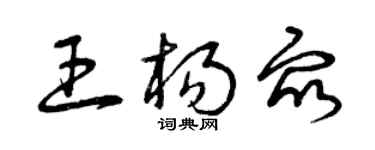 曾庆福王杨众草书个性签名怎么写
