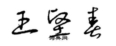 曾庆福王坚春草书个性签名怎么写