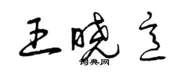 曾庆福王晓意草书个性签名怎么写