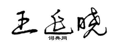 曾庆福王延晓草书个性签名怎么写