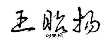 曾庆福王昭扬草书个性签名怎么写