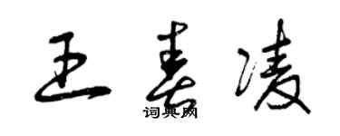 曾庆福王春凌草书个性签名怎么写