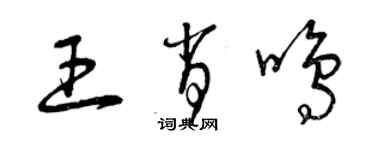 曾庆福王肖鸣草书个性签名怎么写