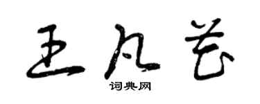 曾庆福王凡花草书个性签名怎么写