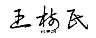 曾庆福王树民草书个性签名怎么写