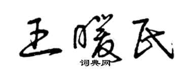 曾庆福王暖民草书个性签名怎么写