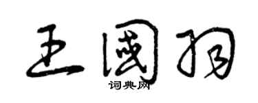 曾庆福王国羽草书个性签名怎么写