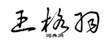 曾庆福王格羽草书个性签名怎么写