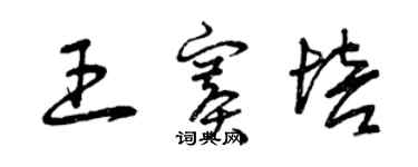 曾庆福王赛培草书个性签名怎么写