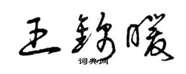 曾庆福王锦暖草书个性签名怎么写