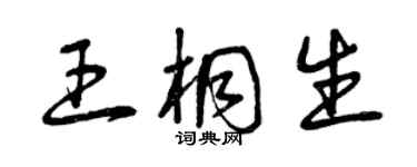 曾庆福王桐生草书个性签名怎么写