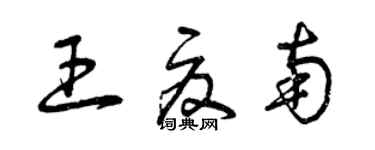 曾庆福王夏南草书个性签名怎么写