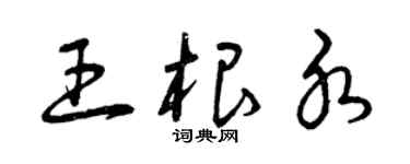 曾庆福王根水草书个性签名怎么写