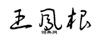 曾庆福王凤根草书个性签名怎么写