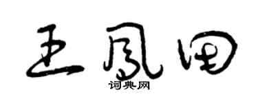 曾庆福王凤田草书个性签名怎么写