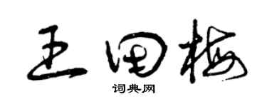 曾庆福王田梅草书个性签名怎么写