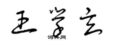 曾庆福王学玄草书个性签名怎么写