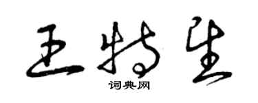 曾庆福王特望草书个性签名怎么写