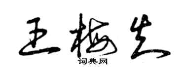 曾庆福王梅知草书个性签名怎么写
