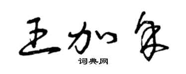 曾庆福王加余草书个性签名怎么写