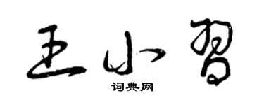 曾庆福王小习草书个性签名怎么写